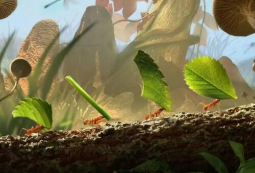 小小蚁国生物残骸如何获得 生物残骸进化用处一览